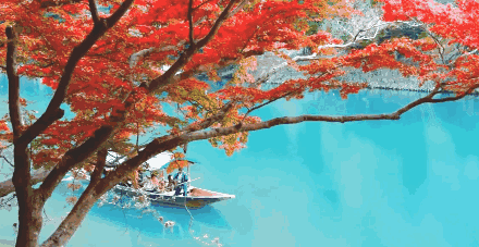 440_227 gif 动态图 动图