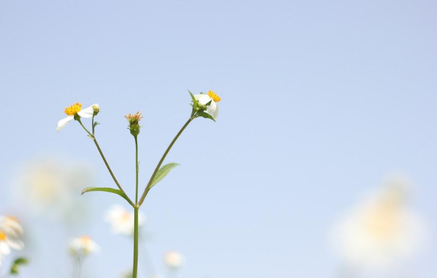 非常经典的句子:有时候,会莫名的感到身累,心累