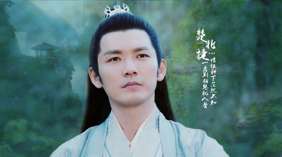 【沁园春】钟汉良,一枝孤芳楚北捷