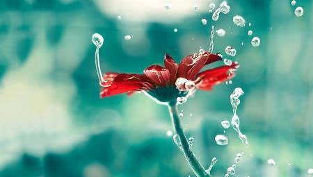 不卑不亢,不骄不躁的五位星座,活出自我,坚强独立