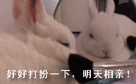 搞笑兔子动图表情包