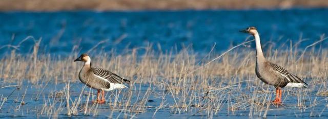 十一不看人墙系列的好玩人少旅游景点冷门但是