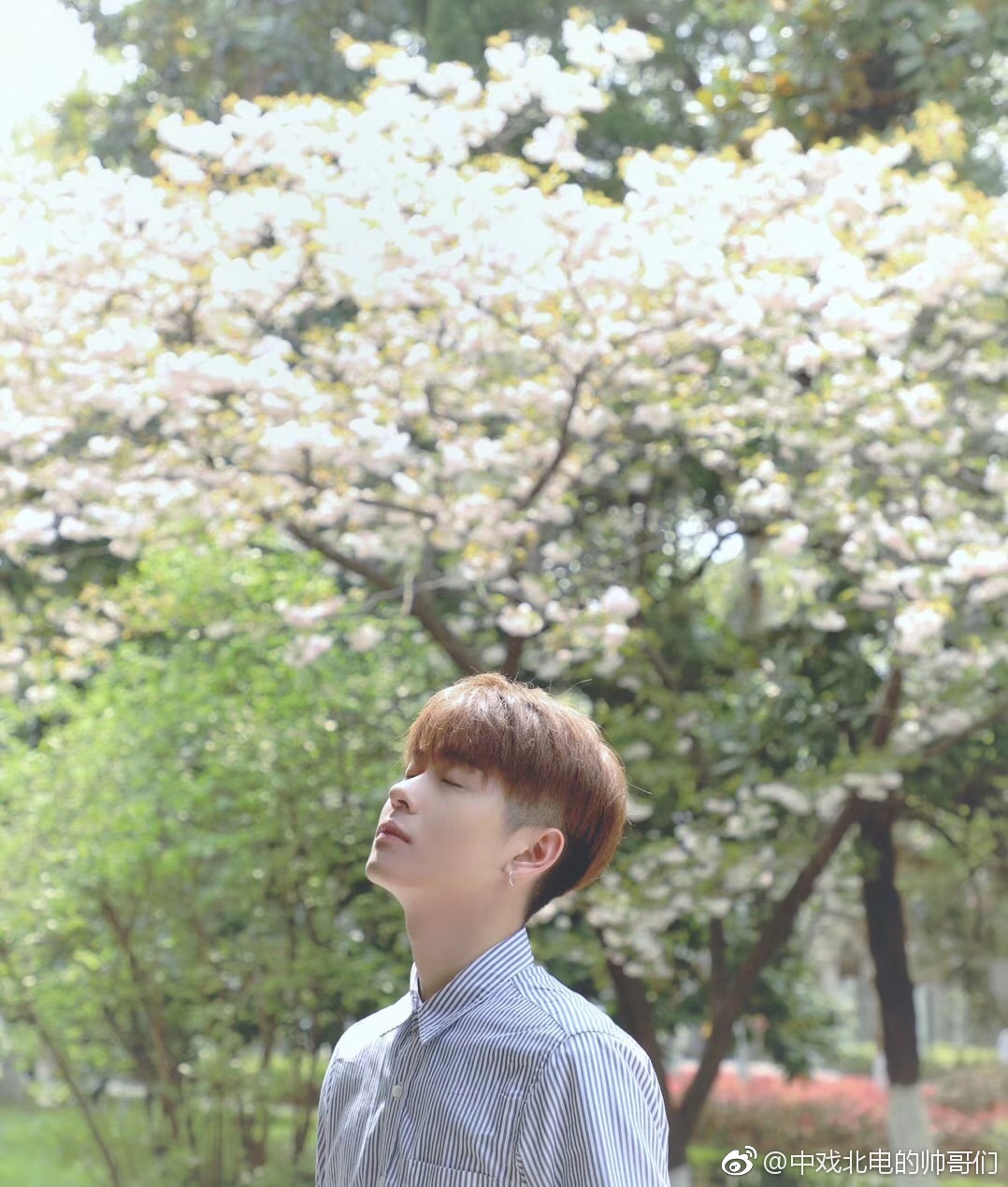 国传媒大学南广学院2017戏剧影视导演专业 我