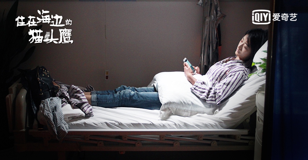 《住在海边的猫头鹰》全网独播上线 观众