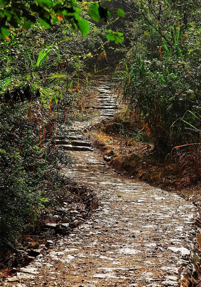 太仙太美了!我有一百万个理由爱上这条古道!