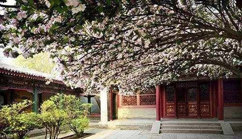 除了红楼梦,这部史诗级电视剧,也在正定荣国府