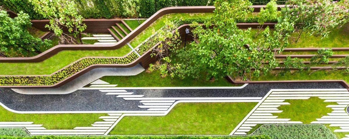 每日案例分享 | 折线构图