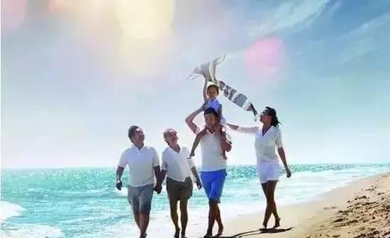 移民三年, 一个普通中国人在新西兰的真实生活