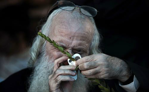 为什么犹太人在整个历史上受到迫害,原因很简