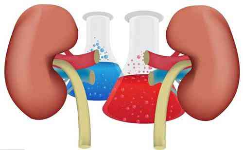 肾不好的人,千万别贪吃这7类伤肾的食物,吃的