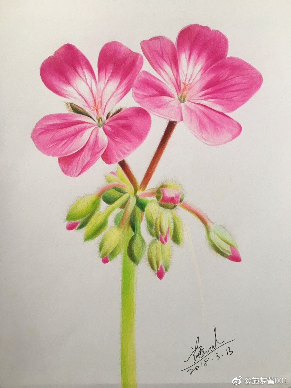 春天在哪里呀,春天在哪里,春天在我们的笔尖里|彩铅画|彩铅|手绘_新浪