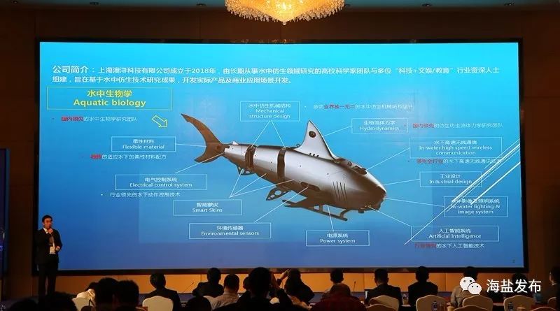 国内外科创“最强大脑”齐聚海盐!他们来做啥?
