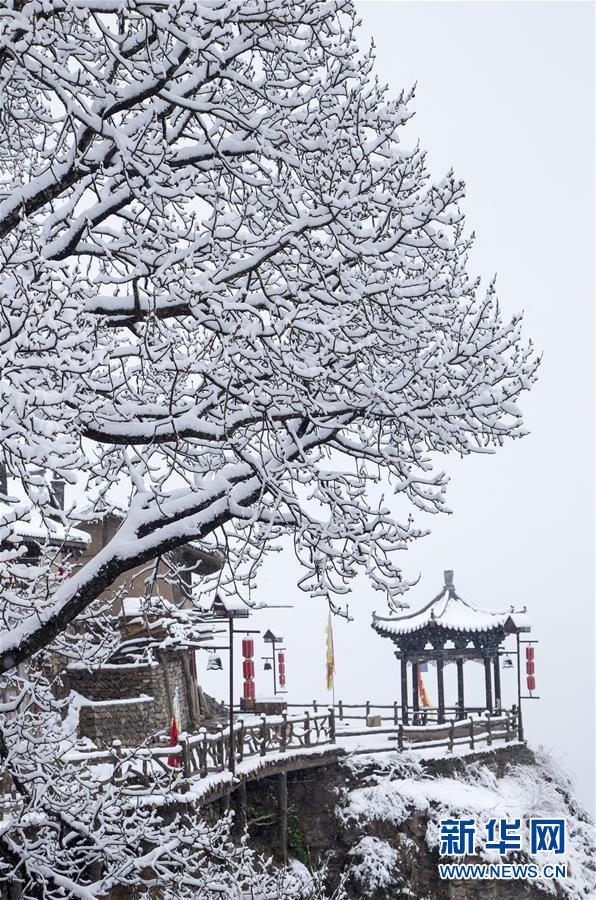 太仙了！蔡依林流“粉色眼泪”秀精致锁骨