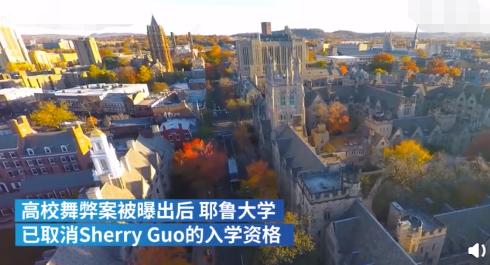 中国的“耶鲁申请者1、2号”被曝