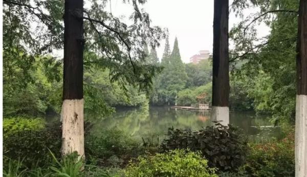 �������̱���΢�ź� ͼ