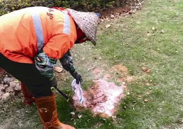 警惕！路边碰到这种小红土堆，赶紧躲远点！已有多人中毒、休克！