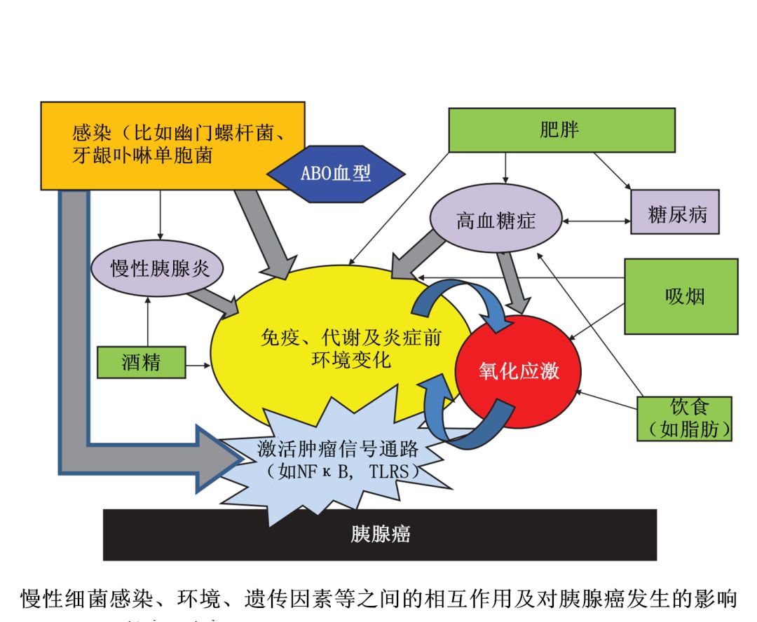 我国现在有多少人口_我国究竟有多少人口