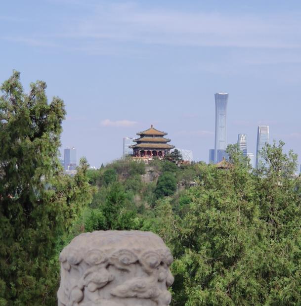 道不精12星座2019年5月运势