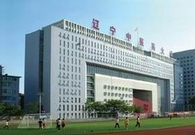 辽宁中医药大学