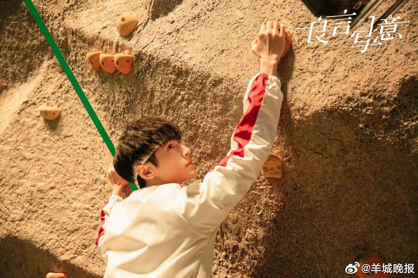 周末娱乐指南：多部热剧主演动态与网友互动