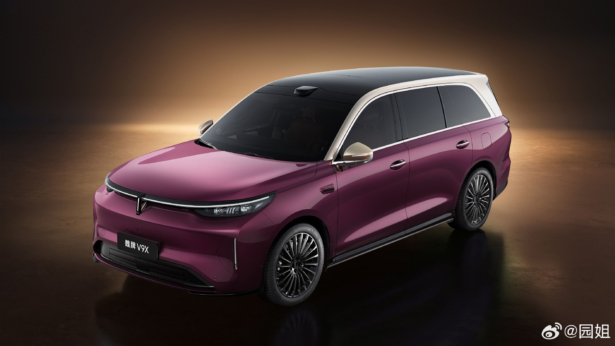 魏牌V9X外观图发布，车长5299mm轴距3150mm，预计售价50万+