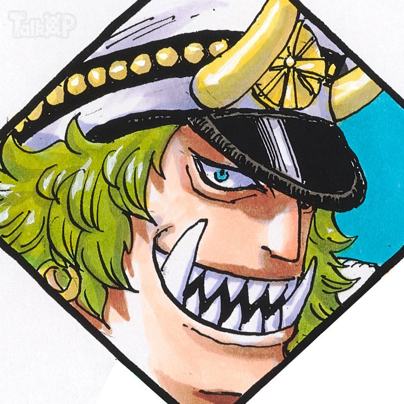 百兽海贼团飞六胞佐佐木今日庆生