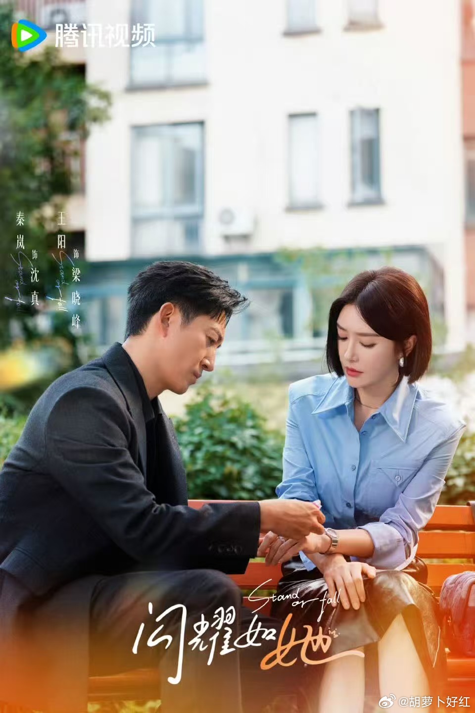 秦岚王阳再合作《闪耀如她》，先离后爱引期待