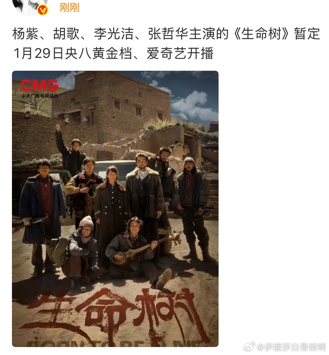 杨紫胡歌主演《生命树》暂定1月29日央八黄金档播出