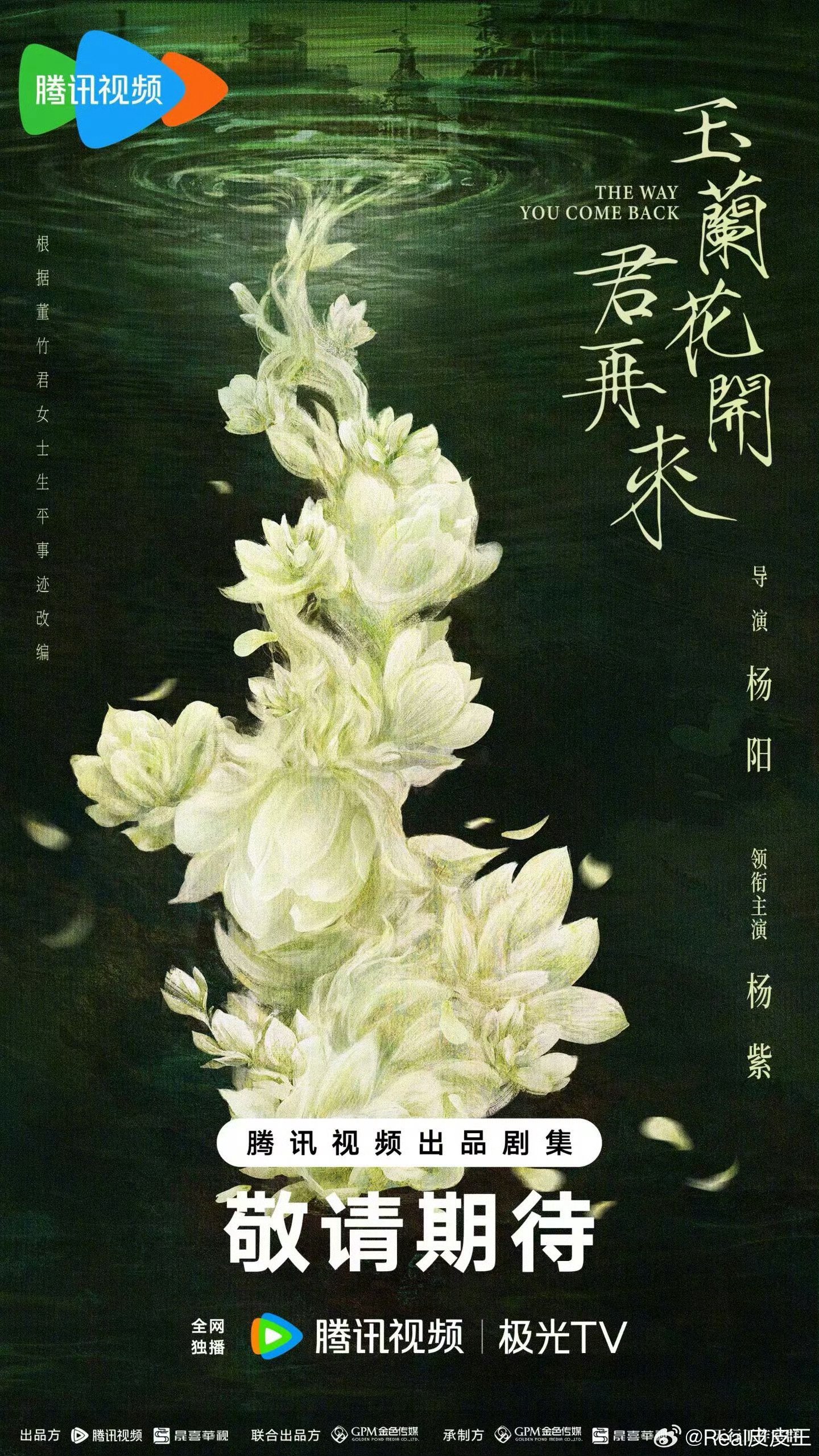 杨紫张若昀新剧连轴转，家业生命树玉兰花开君再来年会千里江山图庆余年雪中悍刀行