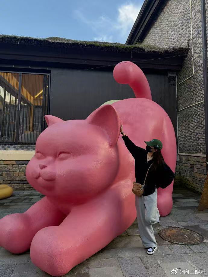 杨幂与巨型猫咪雕塑合影晒冬至旅行plog