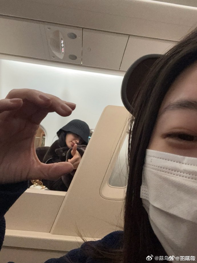 田曦薇小年晒人猫同框照，温柔气质尽显