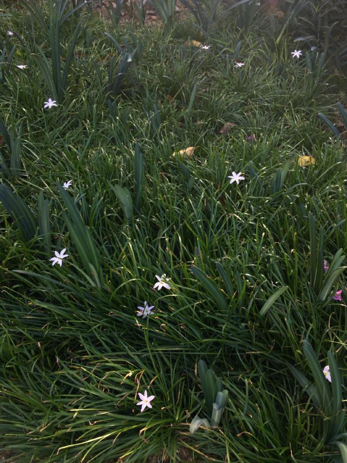 岩井俊二《情书》名句：有一个可以想念的人就是幸福