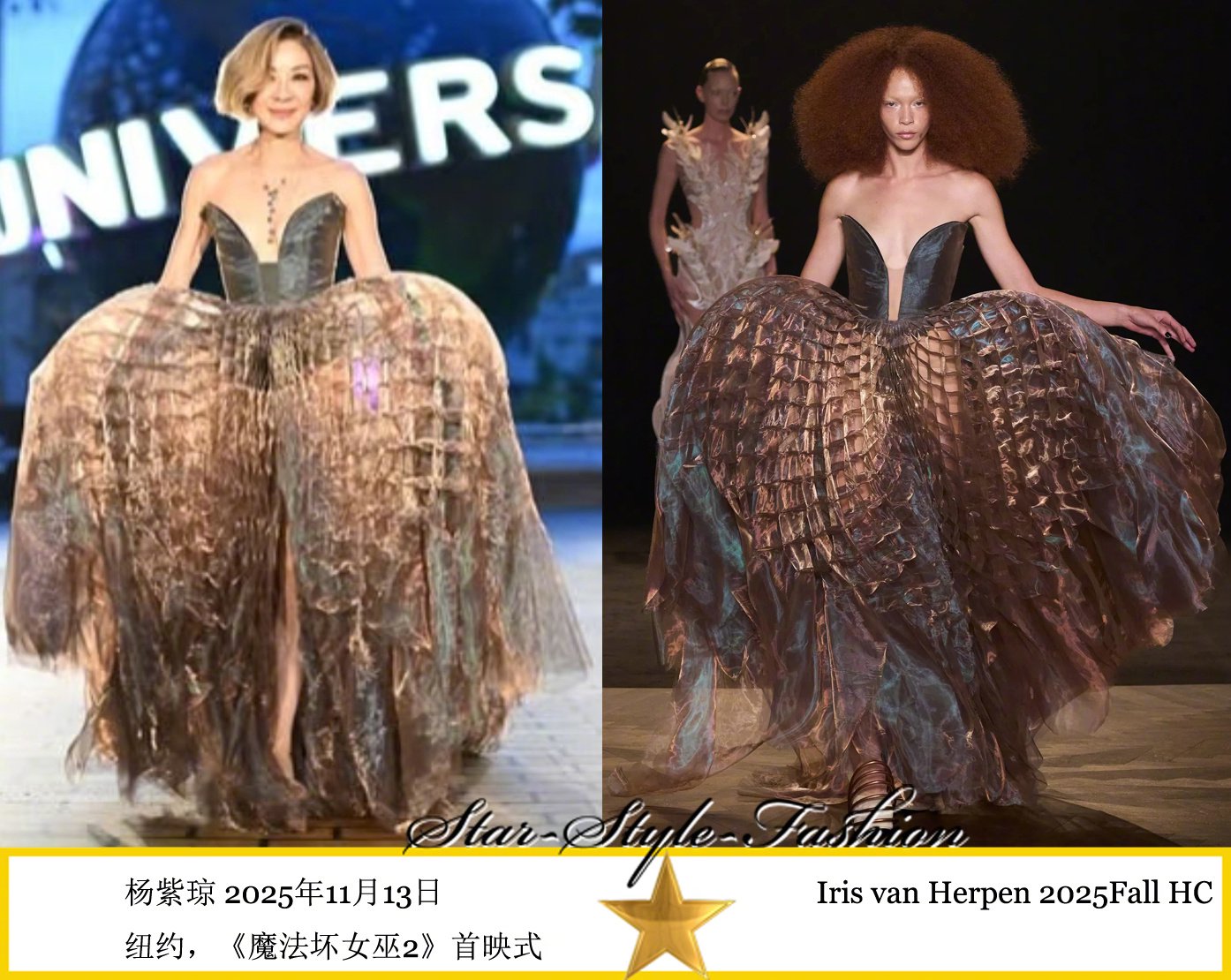杨紫琼穿Iris van Herpen高定灰咖色蓬裙亮相