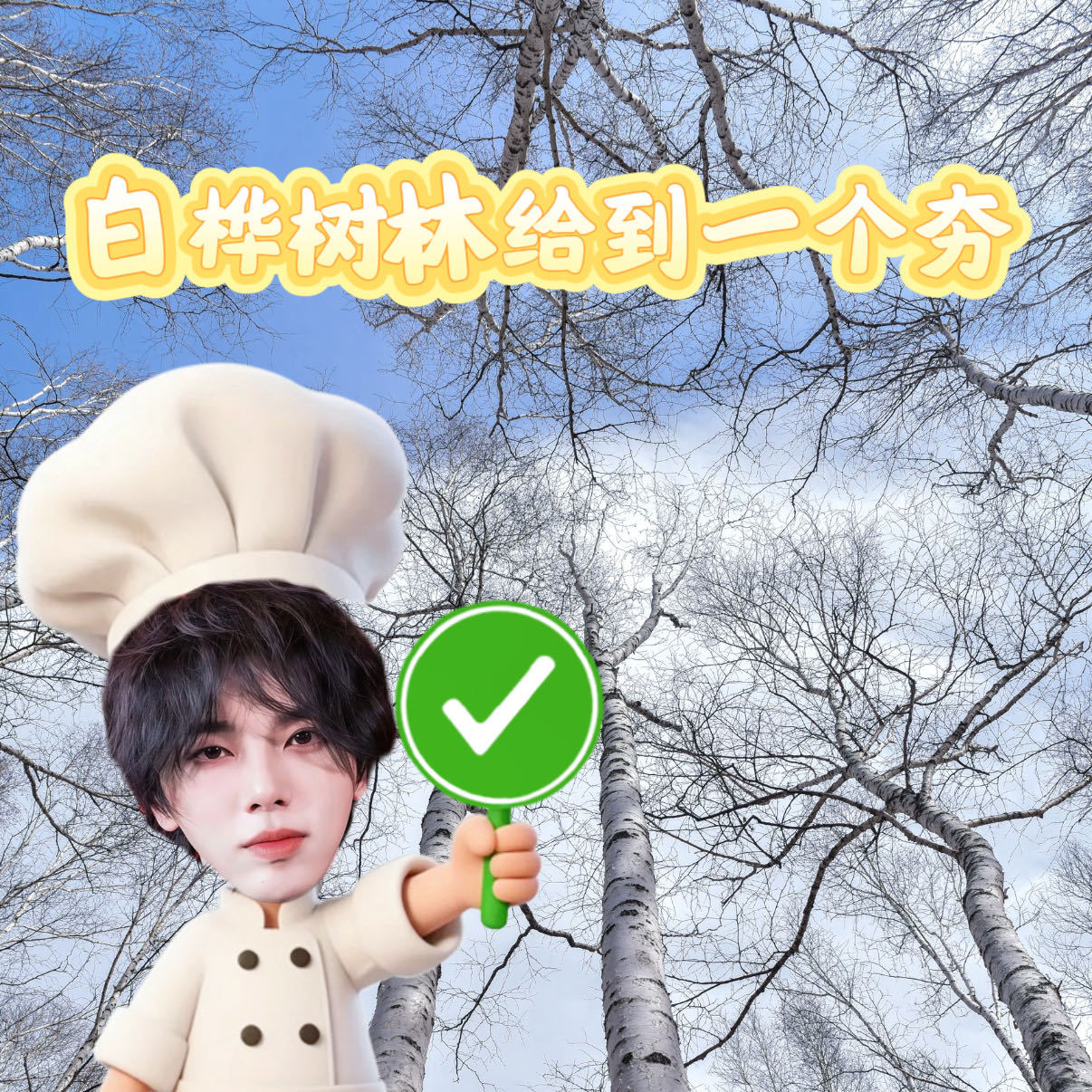 华晨宇蔡徐坤同款漠河白桦林取景地曝光，初春头采桦树汁珍稀