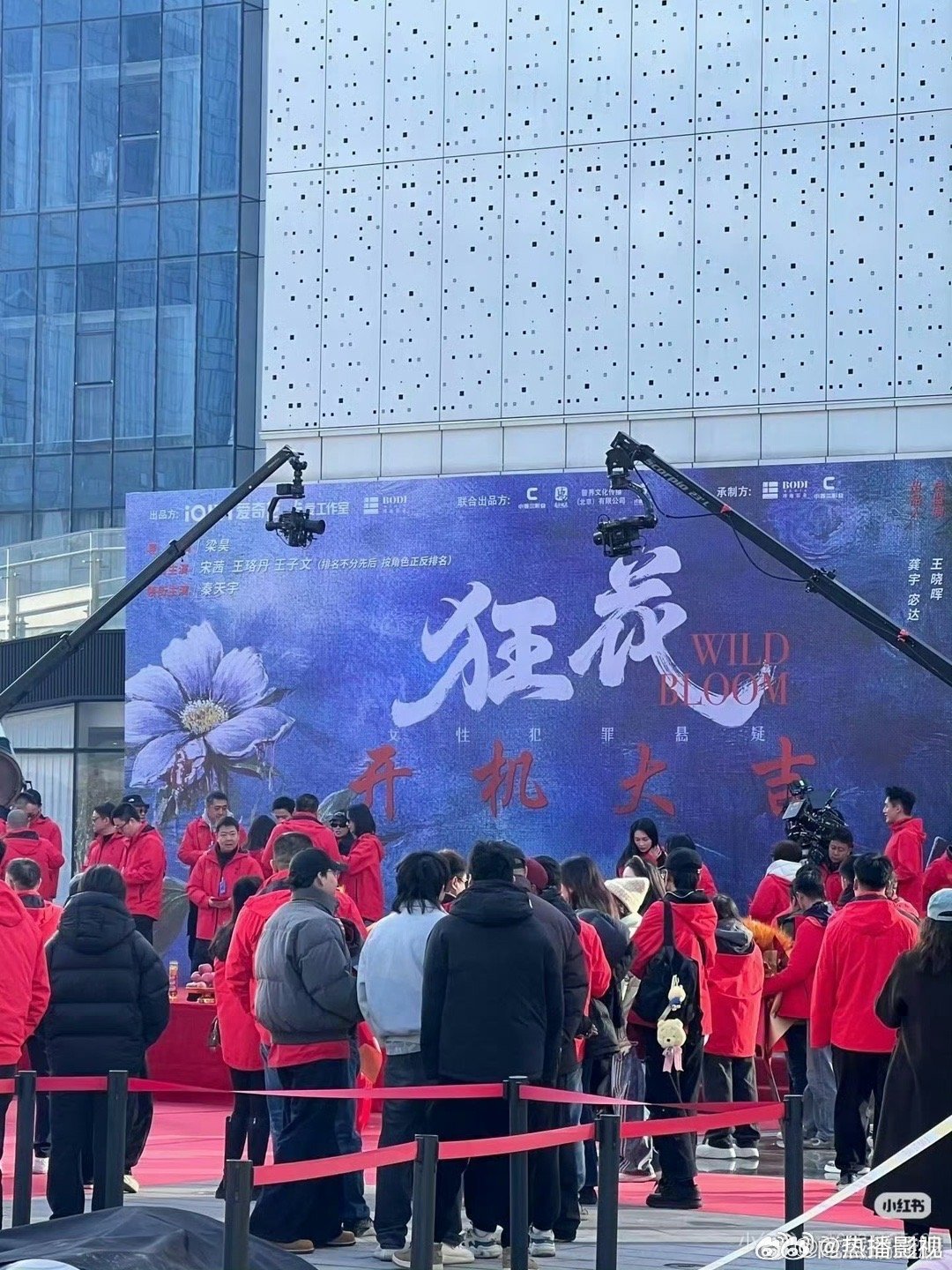 狂花开机宋茜王珞丹王子文排名不分先后