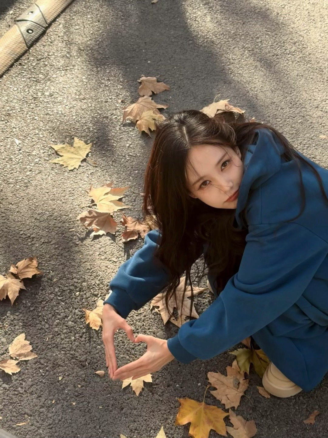 李一桐蓝卫衣枫叶写真曝光