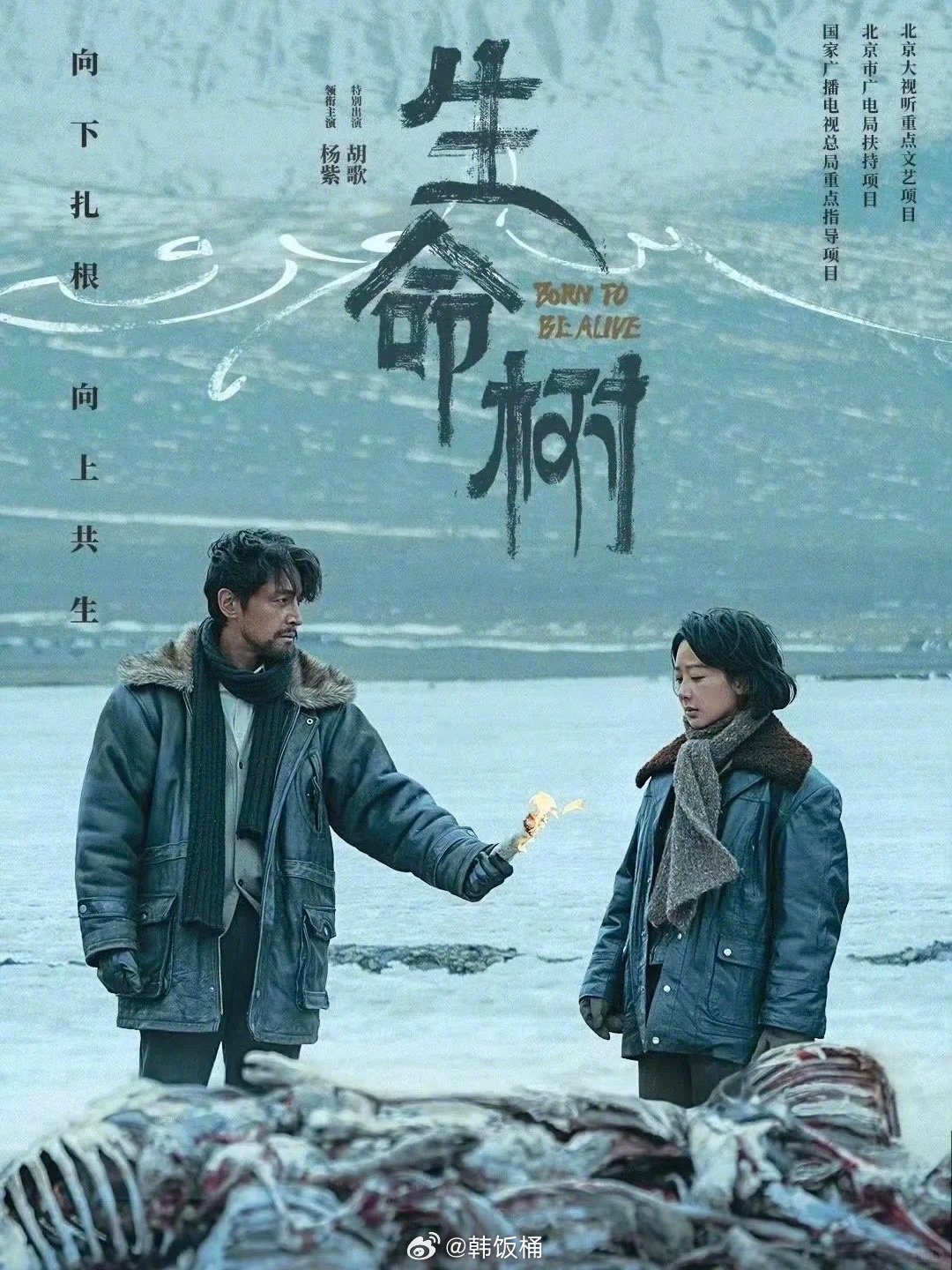 《生命树》与《繁花》讲述同年代不同地区故事