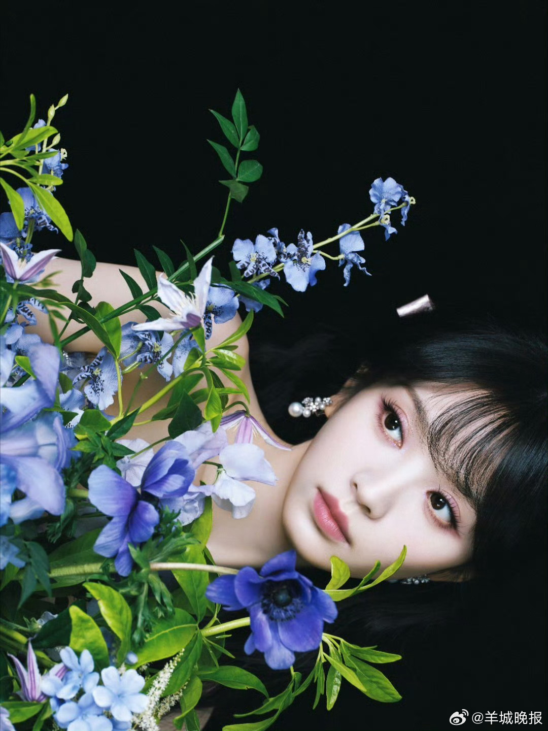 繁花深处众星回眸，春日大片惊艳亮相