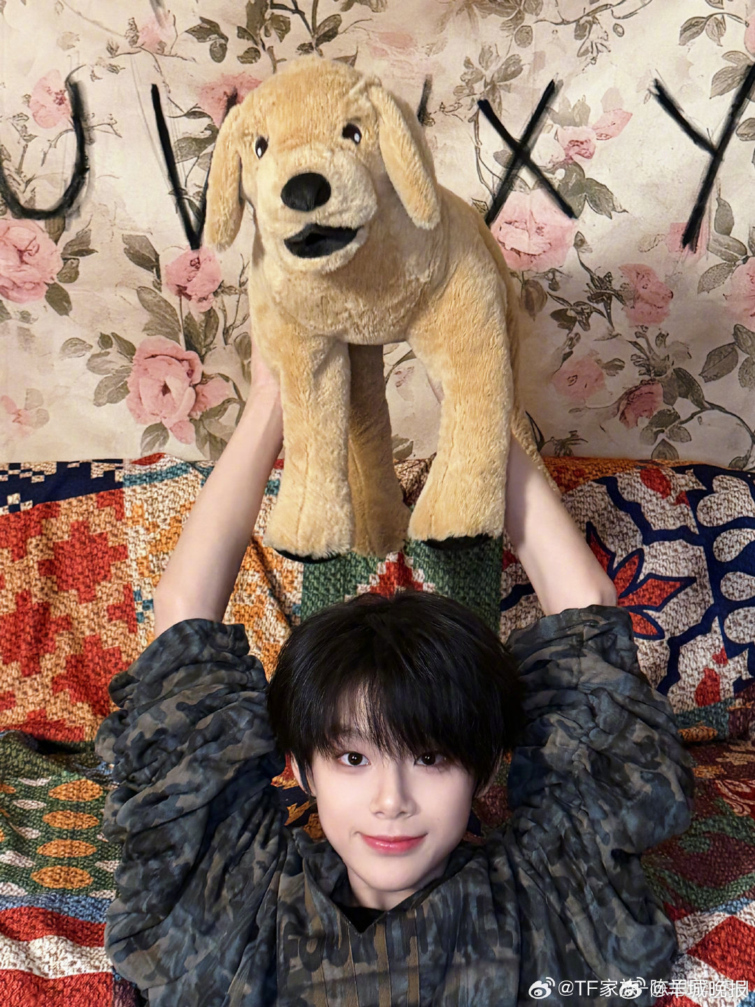 陈思罕晒毛绒小狗合照庆祝国际小狗日