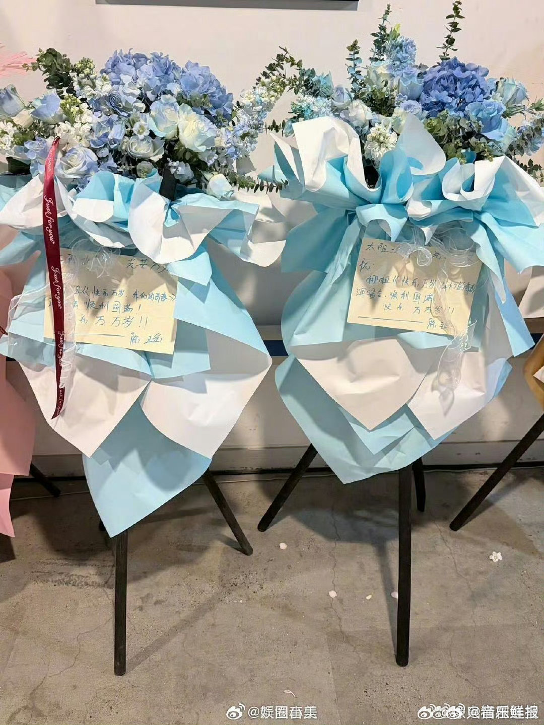 黄灿灿陈瑶曾沛慈为谢娜演唱会送花篮