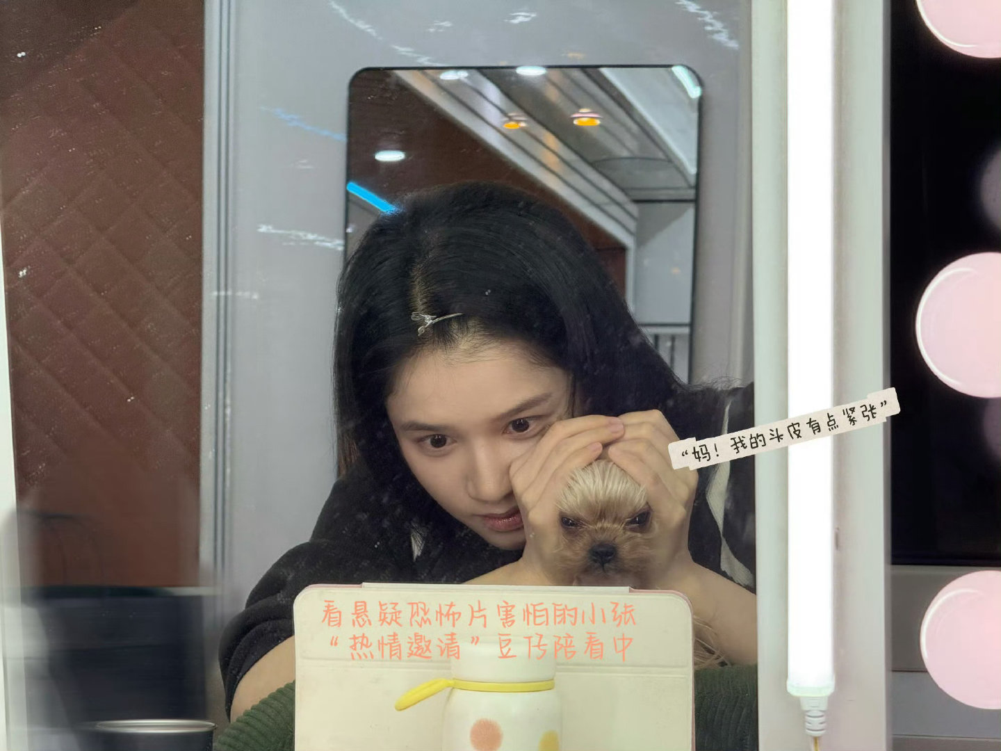 张婧仪哄睡小狗并邀其同看恐怖片