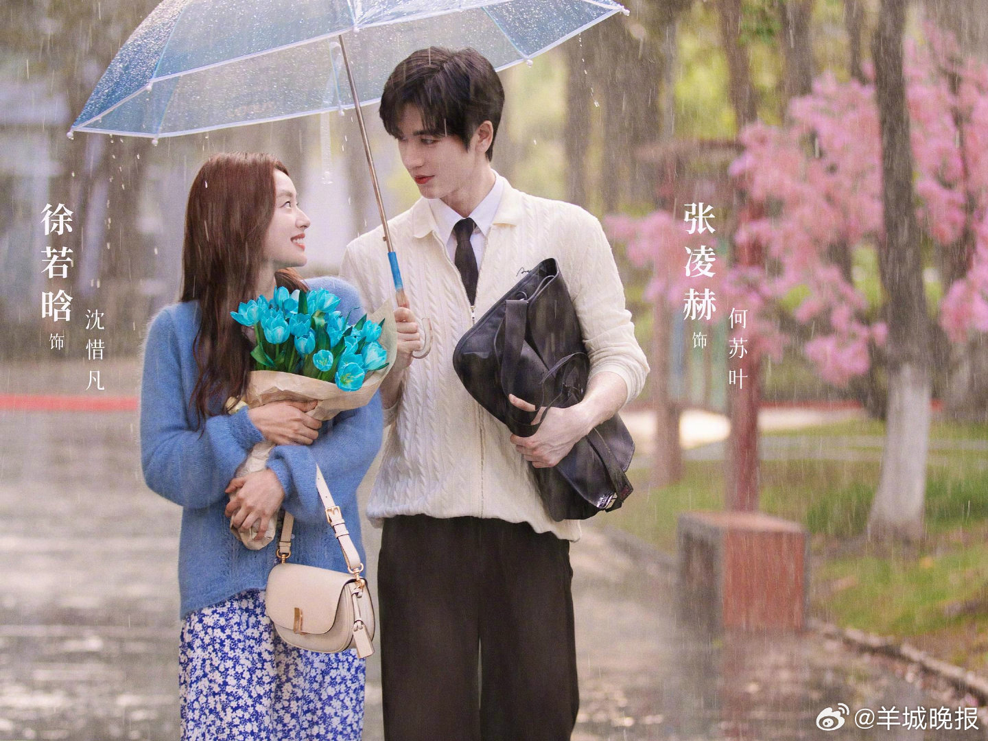 2025现偶剧CP大赏，张凌赫徐若晗等12对荧幕情侣亮相