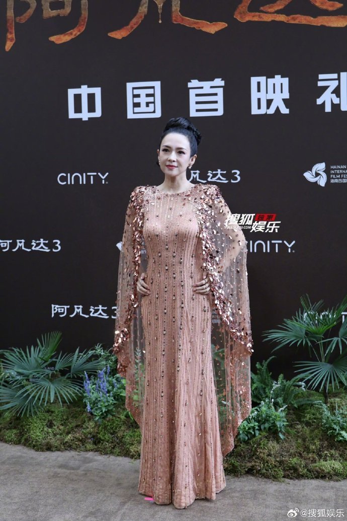 章子怡黄轩孙俪邓超亮相《阿凡达3》首映礼