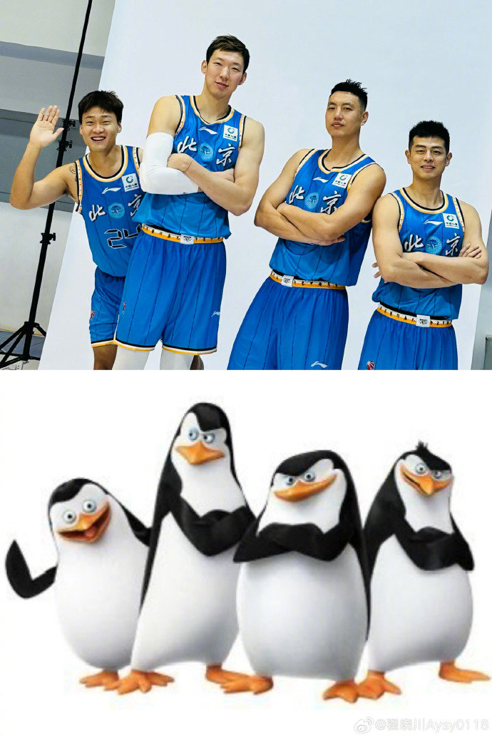 赵睿周琦赛场表现神同步引热议