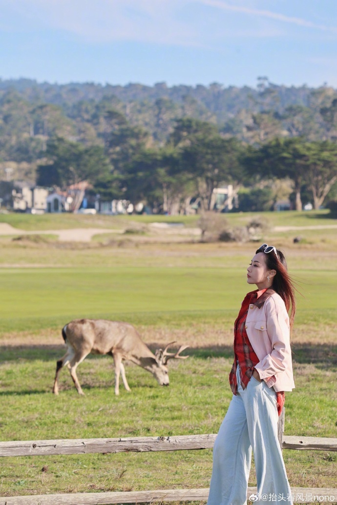蒙特雷半岛17英里公路尽显海岸浪漫，偶遇野生动物与孤柏奇观