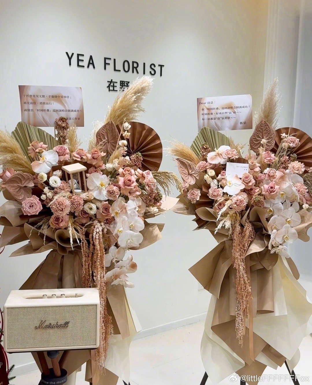 徐良首场演唱会圈内好友集体应援，汪苏泷送20花篮