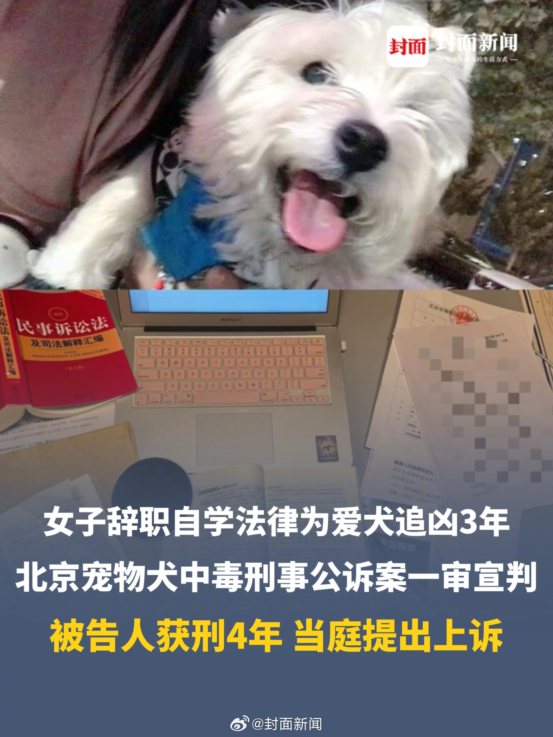 姚晨点赞宠物中毒案犬主，被告人获刑四年当庭上诉