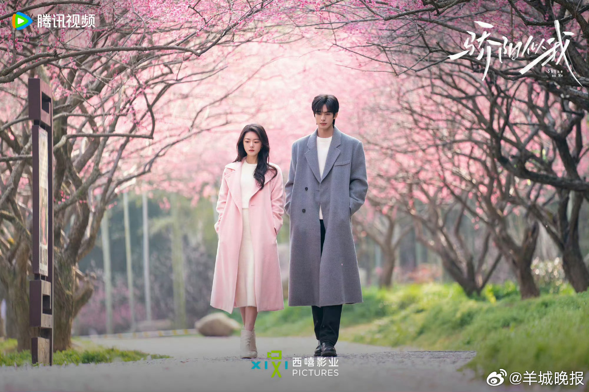 春节热播剧盘点，宋威龙赵今麦等主演新剧引关注