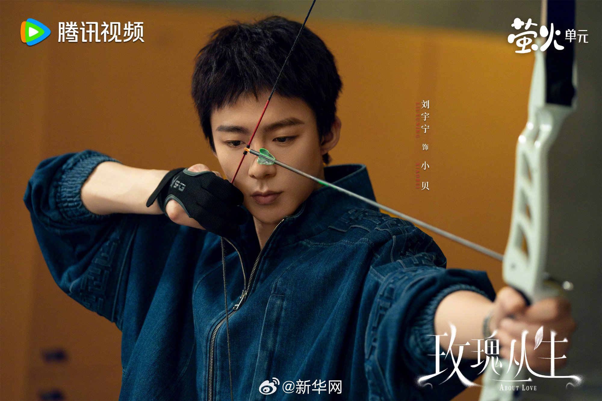 王子文刘宇宁蒋欣《玫瑰丛生》等8部国产剧热播