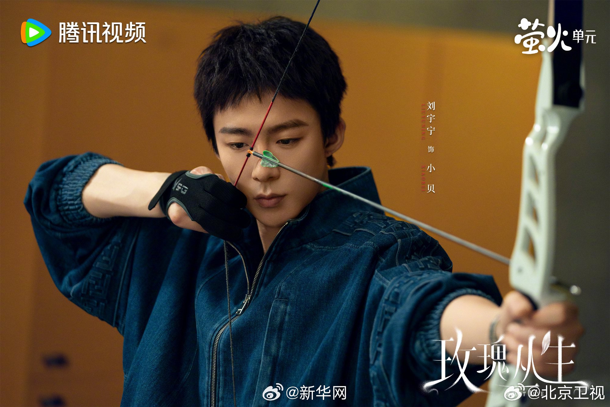 王子文刘宇宁蒋欣《玫瑰丛生》等8部国产新剧热播